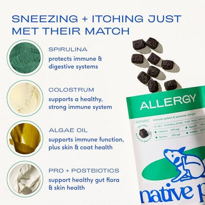 Native Pet Dog Allergy Chews for Medium Breeds - Itchy Skin and Seasonal Itch Support - Colostrum, Probiotics, Spirulina - 90 Chews