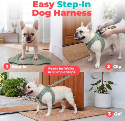 Voyager Step-in Air Dog Vest Harness - Moss Green, Small