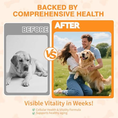 Mature Dog Vitality Drops with NMN,NAD+ & CoQ10-Longevity Supplement,Healthy Aging,Cellular Energy & Antioxidant Support -60ml（2 FL OZ）