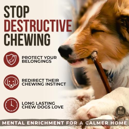 Bully Bunches Premium (6" Standard - 108 Pack) Odour-Free Bully Sticks for Small to Medium Dogs & Puppies - Long Lasting Chews for Oral Care - All Natural, Single Ingredient Beef Dog Treat, No Rawhide