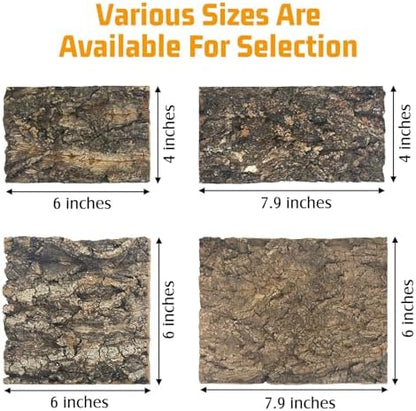 Reptile Cork Bark Bedding 6PCS Bearded Dragon Climbing Wall Mat