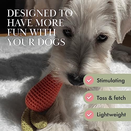 Nina Woof Organic Cotton Squeaky Dog Toy Set – Fruits & Veggies Pack