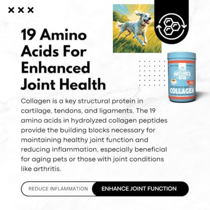 Nature's Diet Beef Collagen Peptides Type 1 for Dogs & Cats, Joint, Digestion & Skin Health Support, Premium Human Grade, Grass fed