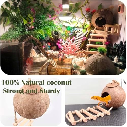 Leopard Gecko Tank Accessories. Reptile Hammock Vines Plants with Coconut Shell Ladder Hideout Hermit Crab Decor for Bearded Dragon Lizard Chameleon Crested Gecko Tortoise Snake(10PCS with Water Dish)