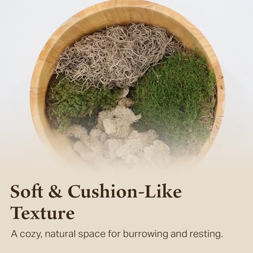 Variety Mix Moss for Terrarium Habitats, Medium 2-Pack