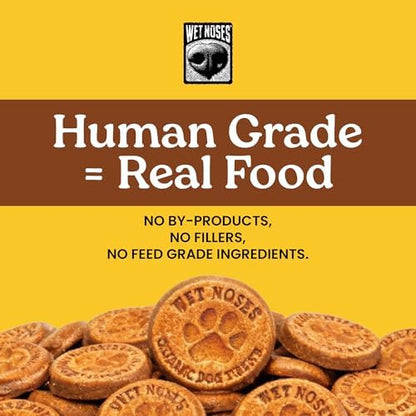 Wet Noses Organic Crunchy Dog Treats Grain Free – All-Natural, Human-Grade, Non-GMO, Healthy Training & Delicious Snacks for Dogs, for All Dog Sizes & Breeds – Peanut Butter & Banana, 14oz (2 Pack)
