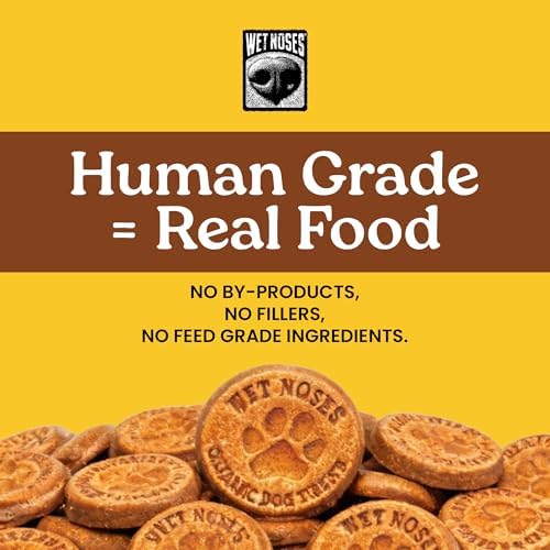 Wet Noses Organic Crunchy Dog Treats Grain Free – All-Natural, Human-Grade, Non-GMO, Healthy Training & Delicious Snacks for Dogs, for All Dog Sizes & Breeds – Peanut Butter & Banana, 14oz (2 Pack)