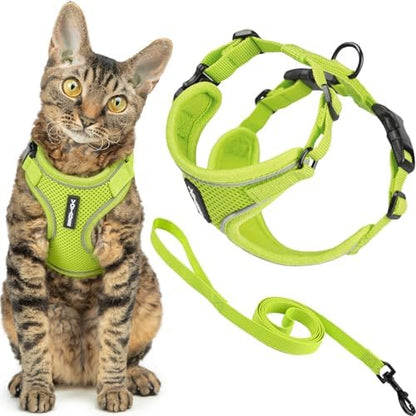 Voyager Escape-Proof Step-in Lock Cat Harness & 5ft Neoprene-Handle Leash Set All-Weather Mesh with Reflective Stitching for Small to Large Cats by Best Pet Supplies, Lime (327), XXS