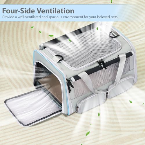 Cat Carrier for Pets up to 15 lbs, Soft-Sided Collapsible Pet Carrier