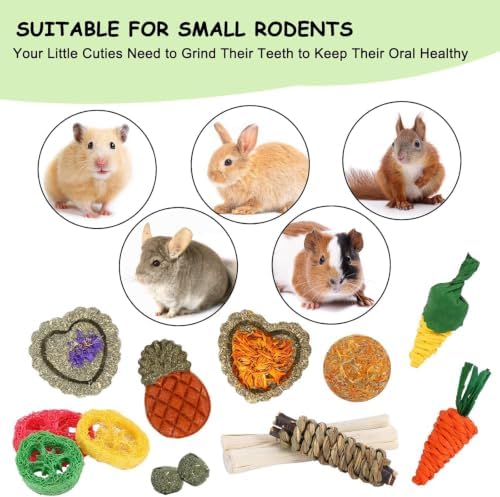 Bunny Toys, 21PCS Rabbit Chew Toys for Teeth, Guinea Pig Natural Treats