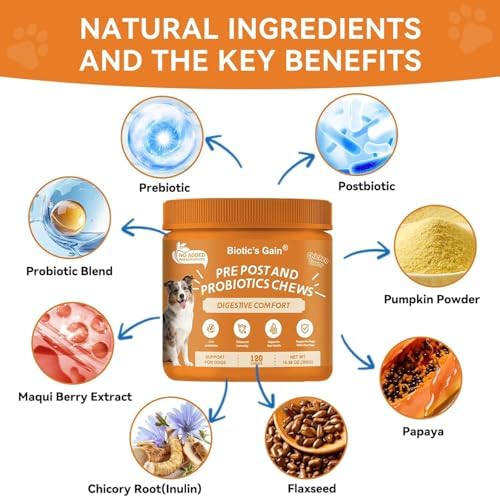 Biotic’s Gain Probiotics for Dogs | Gut Health for Dogs | 120 Soft Chews