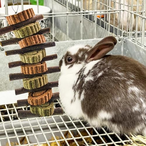 Rabbit Chew Toy,Bunny Chew Toys for Teeth Grinding,Natural Apple Branch Teething Sticks with Hay Grass Cake Improve Dental Health Bunny Hanging Chew Toys for Rabbits,Chinchillas,Hamster (4 Pcs)