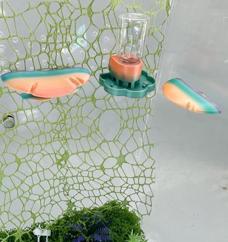 5Pcs Jumping Spider Accessories Set, Jumping Spider Enclosure Mushroom And Water Dispenser, Jumping Spider Web with Magnets, Jumping Spider Enclosure Climbing and Feeding Platforms (yellow+green)