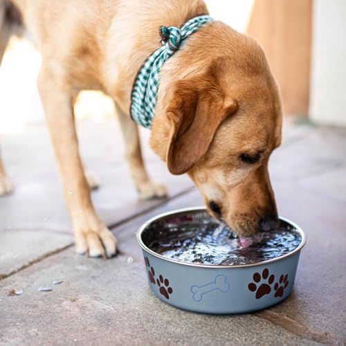 Loving Pets Bella Dog Bowls- Stainless Steel Dog & Cat Bowls - Spill Proof Dog Food Bowl, Cat Bowl, Puppy Essentials & Pet Supplies Great for Home & Travel (Large 35-65 lbs, Blueberry)