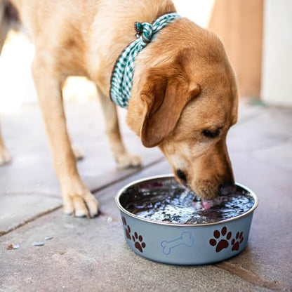 Loving Pets Bella Dog Bowls- Stainless Steel Dog & Cat Bowls - Spill Proof Dog Food Bowl, Cat Bowl, Puppy Essentials & Pet Supplies Great for Home & Travel (Medium 20-35 lbs, Blueberry)