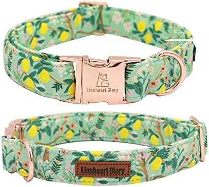 Lionheart glory Premium Floral Dog Collars, Bowtie Dog Collar, Adjustable Heavy Duty Girl Dog Collar with Bow for XLarge Dogs
