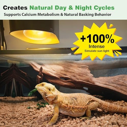 160W Reptile Heat Lamp Bulbs, Full Spectrum UVA/UVB Reptile Light Bulb and Basking Spot Light, UVB Light for Reptiles and Bearded Dragon, Turtle, Lizard, Snake, Amphibians