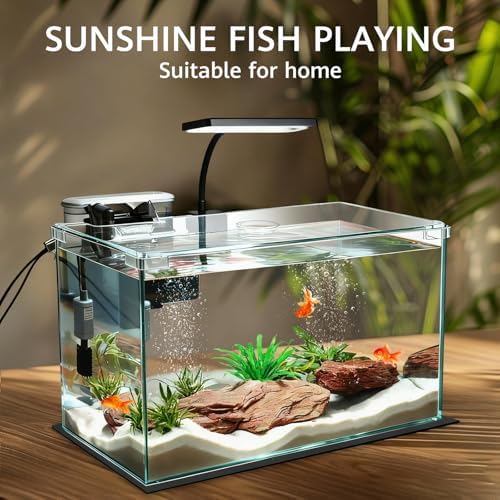 Vimvins 10 Gallon Glass Small Fish Tank with Filter Light and Lid, Aquarium Starter Kit
