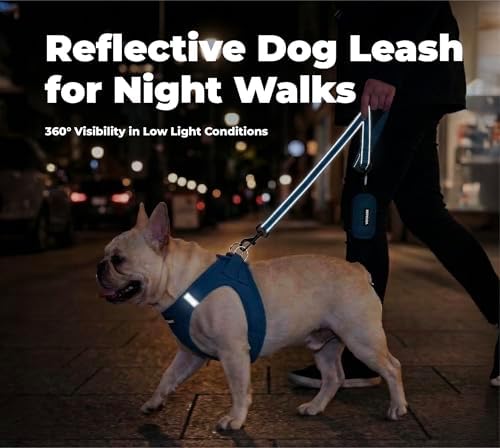 Best Pet Supplies Voyager Nylon Dog Leash - Royal Blue, Small