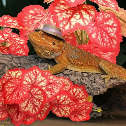 QUOZUO 2 Pack Reptile Plants for Terrarium, Artificial Leaves Habitat Decorations with Suction Cups, Terrarium Hanging Plants Vines for Bearded Dragons Lizards Snake Geckos Frogs - Red