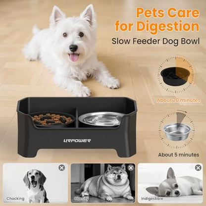 URPOWER Elevated Dog Bowls for Small Dogs, 3-in-1 Raised Stand