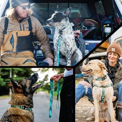 Wolfgang Heavy Duty Adjustable Dog Harness, Pull-Tested to Over 800 lbs for Walking & Training, GreatEscape Print, Medium