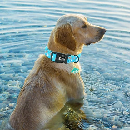 Dog Collar-Cute Shark Adjustable Pet Collars Soft Comfortable Puppy Collar Coral Cotton Dog Collars Durable Necklace Gift for Small Dogs