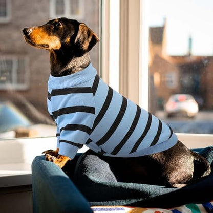 Queenmore Large Dog Shirt,Soft Breathable Dog Shirt for Dogs Cats Boy Girl,Pet Clothes for All Season,Breathable Lightweight Pet Tshirt for Frenchie, Dachshund, Yorkie
