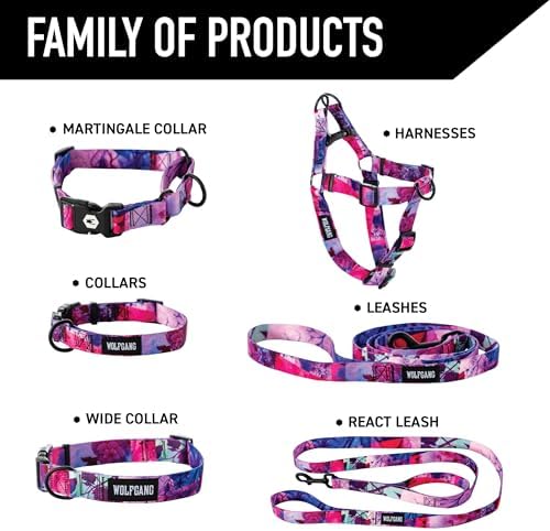 Wolfgang Heavy Duty Martingale Dog Collar with Quick Release Nylon Buckle for Walking & Training, Daydream Print, Medium