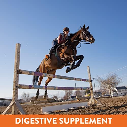 Plus- Gastric Support Supplement for Horses with Omega 3s | Relieves Ulcers, Calming Supplement, Magnesium & Other Vital Minerals | Powder, 20lb Bucket, 5-Month Supply | by Eagle Equine