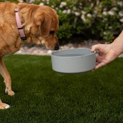 Loving Pets - Dolce Bamboo - Eco-Friendly Pet Bowls & Dishes for Dog, Cats, Puppy Food and Water Dish -Sustainable and Dishwasher Safe, Made with Real Bamboo (Small, Slate-Grey)