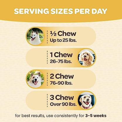 Turmeric for Dogs Soft Chews | Hip and Joint Chews for Dogs Comfort & Mobility with Collagen for Dogs | Dog Joint Supplement for All Ages Breeds & Sizes | NASC Certified & Made in The USA | 90 Chews