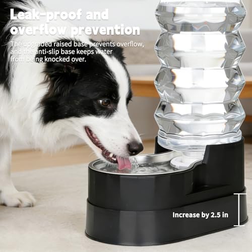 RIZZARI 9L Elevated Dog Water Dispenser: Filtered Gravity Waterer
