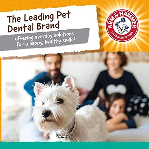 Arm & Hammer Super Treadz Gorilla Dental Dog Chew Toy, Large, 12-Pack