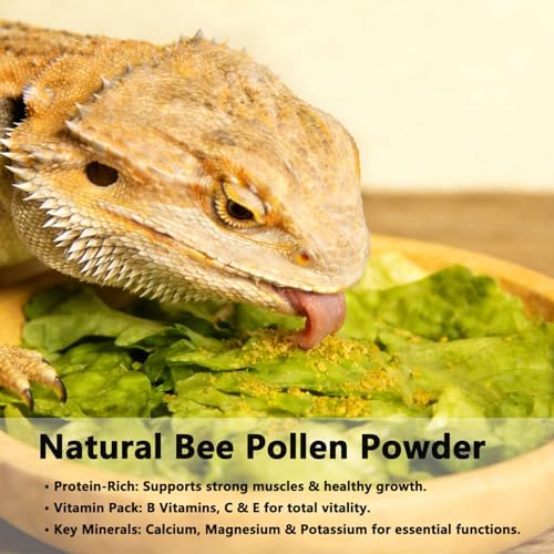 Accretion Bee Pollen for Bearded Dragons 8oz (Powder), Fine Ground Reptile Supplement for Bearded Dragons, Lizards, Turtles, Immune Support and Digestive Aid