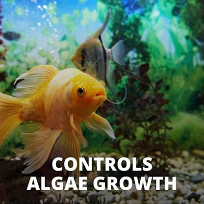 Tetra No More Algae Tablets for Aquariums, 8 Count