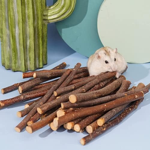 400g Apple Sticks for Rabbits,Chew Sticks for Chinchilla Hamster