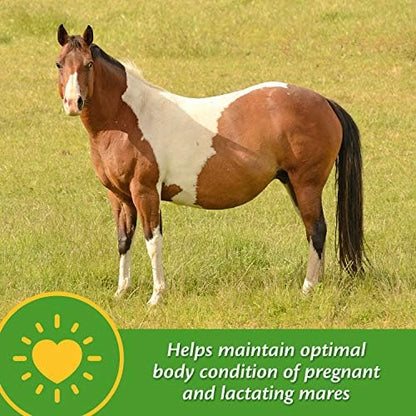 Farnam Mare Plus Gestation & Lactation Supplement 7.5 pounds, 60 Day Supply (Pack of 2)