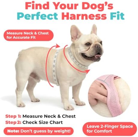 Voyager Step-in Air Dog Vest Harness - Fuchsia 2-Tone, Small