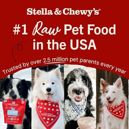 Stella & Chewy's Freeze-Dried Raw Chicken Breast Dog Treats - Single Ingredient, No Additives - Premium Training Treats - Perfect For Picky Eaters - 2.75oz Bag
