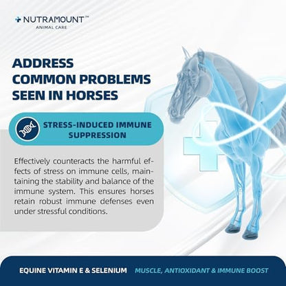 Horse Vitamin E & Selenium Supplement Powder – Natural Vitamin E 24% & Yeast Selenium – Daily Equine Antioxidant & Muscle Support – 100 Day Supply