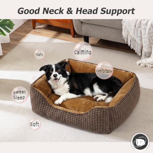 MIXJOY Dog Beds for Medium Dogs Washable, Rectangle Pet Bed Medium Size Dog, Orthopedic Sleeping Pet Sofa Bed, Soft Calming Cat Beds for Indoor Cats, Anti-Slip Bottom with Multiple Size