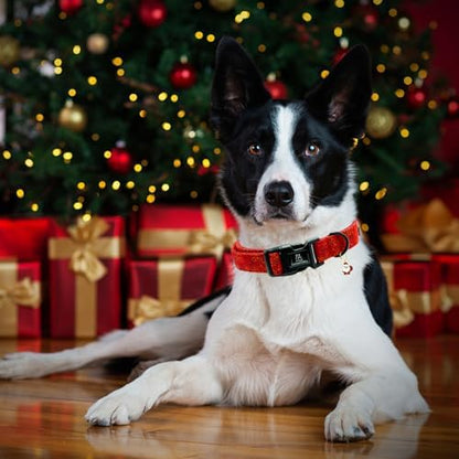 Lionheart glory Christmas Dog Collar, Red Dogs Collar Adjustable Soft Comfortable Collars for Medium Dogs Girl or Boy Pet Gift Fall Cute Collar