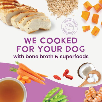 Health Extension Gently Cooked Chicken & Pumpkin Dog Food, Human-Grade & Shelf-Stable with Superfoods, Supports Digestion, Immunity, Skin & Coat, 9 oz Pouch (Pack of 5)