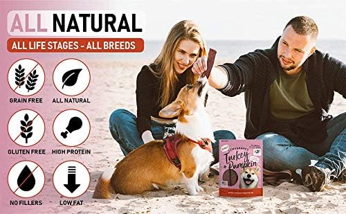 PET JERKY FACTORY Turkey & Pumpkin 12 oz. Dog Jerky Treats | 100% Human Grade | USA Made-| High Protein-| Grain Free-| Limited Ingredients-| No Filler-| BHA-BHT Free-| Soft-Tender,(Pack of 2)