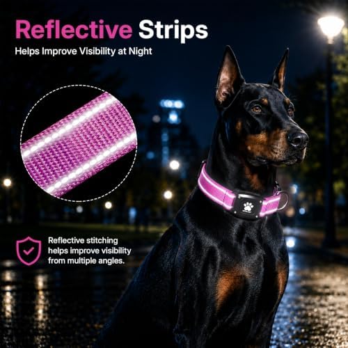 GPS Dog Collar with Tracker, Waterproof, No Monthly Fee, Hot Pink, L