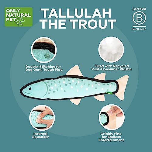 Only Natural Pet Mountain Friends Recycled Plush Dog Toys - Durable Double-Stitched Design with Internal Squeaker, Large Plush Ears & Soft Crinkle Tail - Pet Toy | Tallulah the Trout, 6" x 14.5"