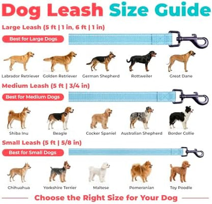 Best Pet Supplies Voyager Nylon Dog Leash - Baby Blue, Medium