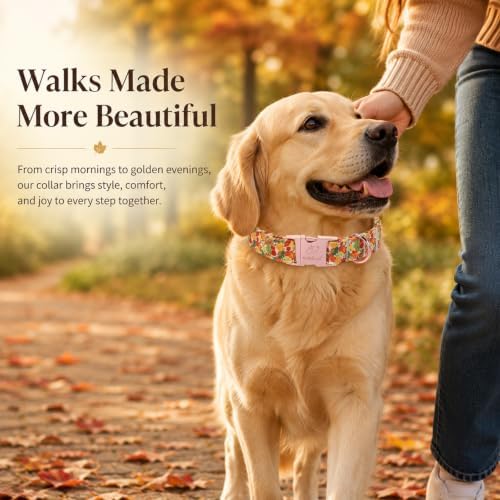 Fall Dog Collar, Cute Autumn Leaves Dog Collar - Soft Cotton Puppy Collars, Adjustable Heavy-Duty Metal Buckle Pet Collars for Small Medium Large Girl Boy Dogs XL