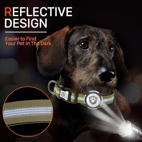 Waterproof AirTag Dog Collar with QR Code Dog Tag, Champagne XS